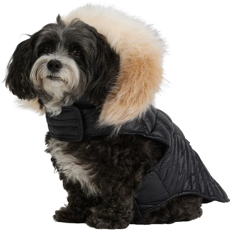 Zola Faux Fur Trim Jacket for Dogs|-|Manteau avec bordure en fausse fourrure pour chiens Zola Knit Fabric Woven Fabric Fleece Fabric