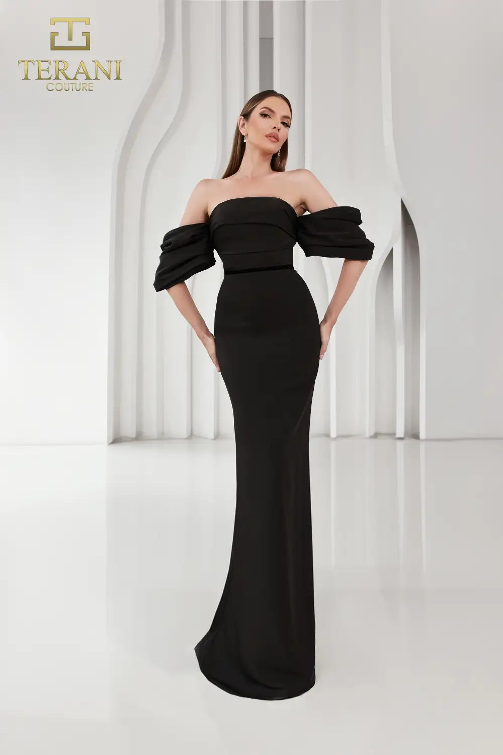 Terani Couture 251E4204 Long Fitted Formal Evening Dress
